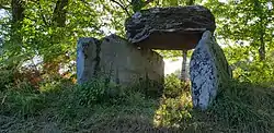 Image illustrative de l’article Dolmen de la Tamanie