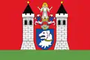 Drapeau de Dolní Žandov
