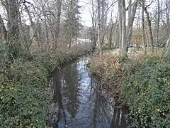 Bras de la Fure.
