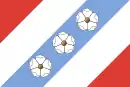 Drapeau de Domamil