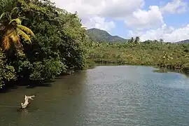 Indian river.
