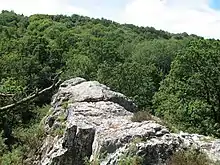 Le site de Saut Roland.