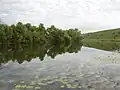 Vue de la rivière Don