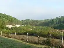 Sables kaoliniques au sud-ouest de Brossac, dans la Double saintongeaise.