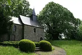 Doyon