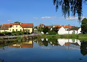 Dražičky