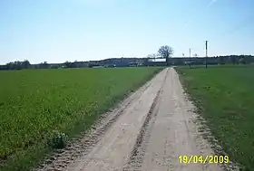 Hilarów (Łódź)
