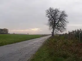 Kraśnica (Łódź)