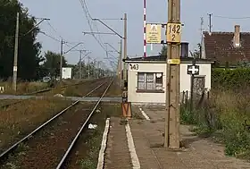 Drużyna