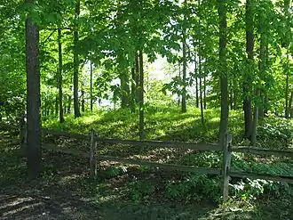 Photo en couleurs d'un tertre couvert d'herbe et de quelques arbres, entouré d'une petite barrière
