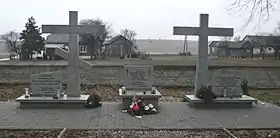 Dziecinin