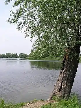 Dziekanów Polski