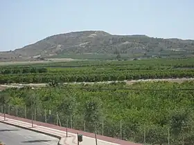 Algorfa