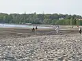Plage de Stroom (Stroomi ranna)