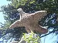 Aigle