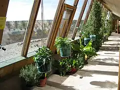 Vue d'une serre intégrée à une géonef.