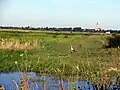 La campagne près d'Ečka