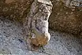 Exhibitionniste anal