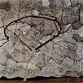 Peinture presque abstraite où se distingue sur fond clair quelques branches dépouillées