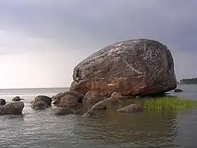 Viru-Nigula