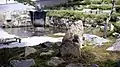 Une partie du jardin.