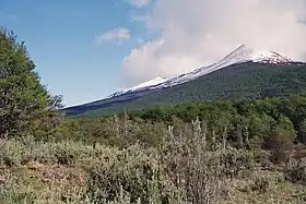 L'El Cóndor.
