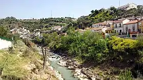 Pinos Puente