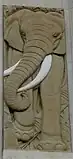 Éléphant.