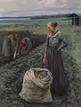 Perunannostajat deElin Danielson-Gambogi
