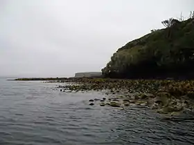 Image illustrative de l’article Île Enderby