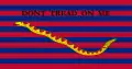 L'insigne de la South Carolina Navy (en).