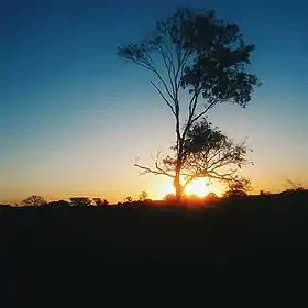 Nova Independência