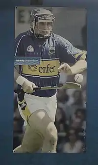 Image illustrative de l’article Eoin Kelly (Tipperary)