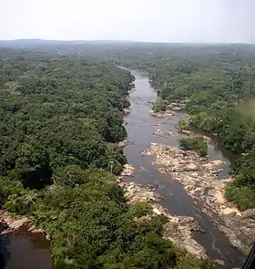 Image illustrative de l’article Forêt de l'Ituri