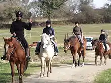 4 cavalières de face en randonnée équestre sur un chemin de terre, le 2e cheval au centre étant de robe blanche.