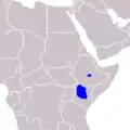 Zèbre de Grévy