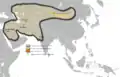 Âne sauvage d'Asie