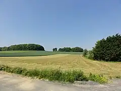 Emplacement réel du puits dans cette pâture.