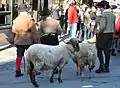 Moutons de 1602.