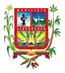 Blason de Libertador