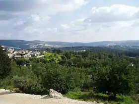 Image illustrative de l’article Forêt d'Eshtaol