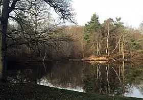 Image illustrative de l’article Étang Rompu (forêt de Rambouillet)