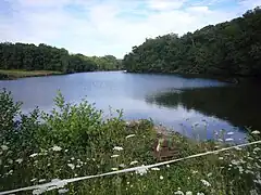 L'étang de Cordelas, vue vers l'Est traversé par l'Auzette.