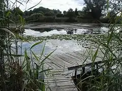 L'étang.