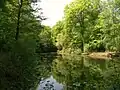 L'étang du Titre.