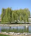 Etang de promenade, à l'ouest du village.