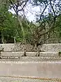 La nature reprend ses droits