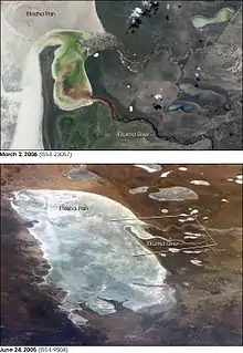 Pan d'Etosha dans le nord de la Namibie.
