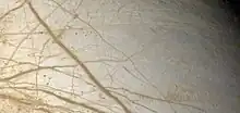 Zoom sur la surface. On voit les lignes brunes de différentes tailles.