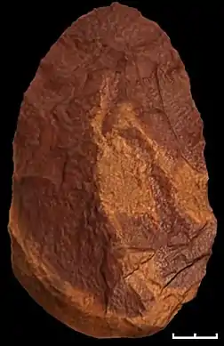Le biface de la Sima de los Huesos.